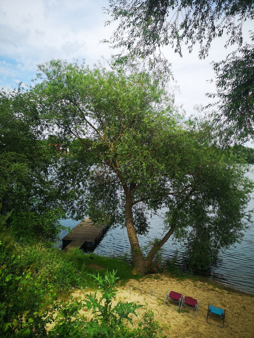 Camping a orillas del lago en el sur del Harz