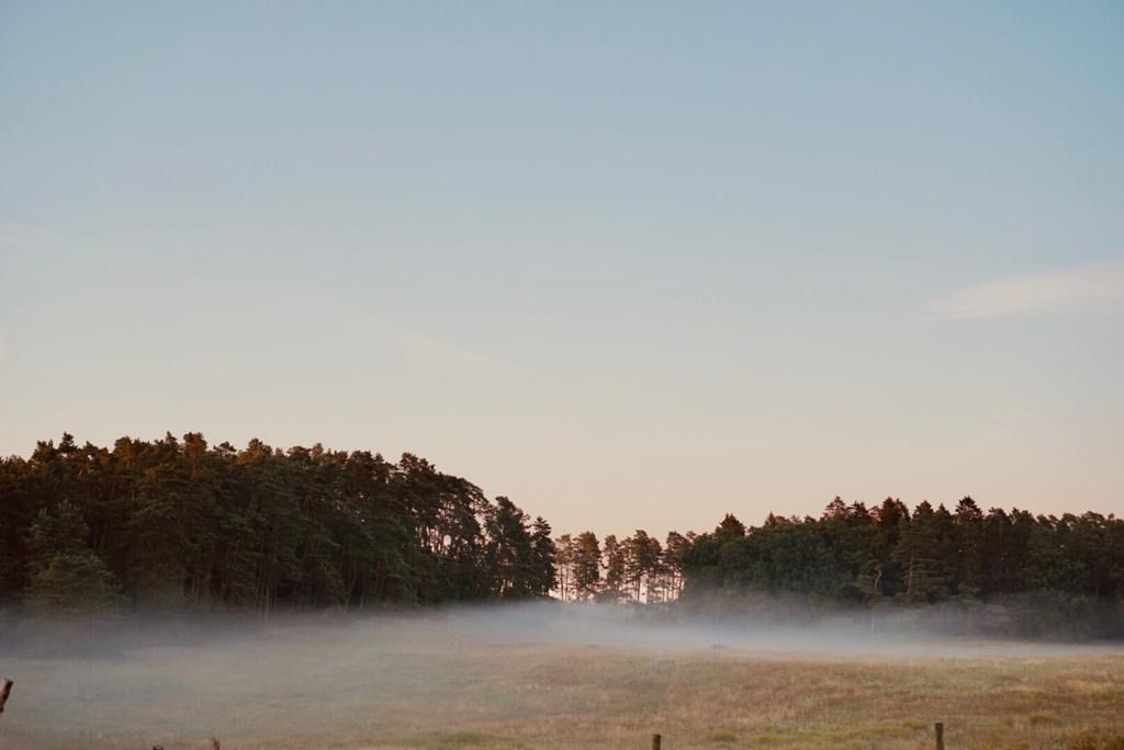 Pure nature surrounded by forests and meadows