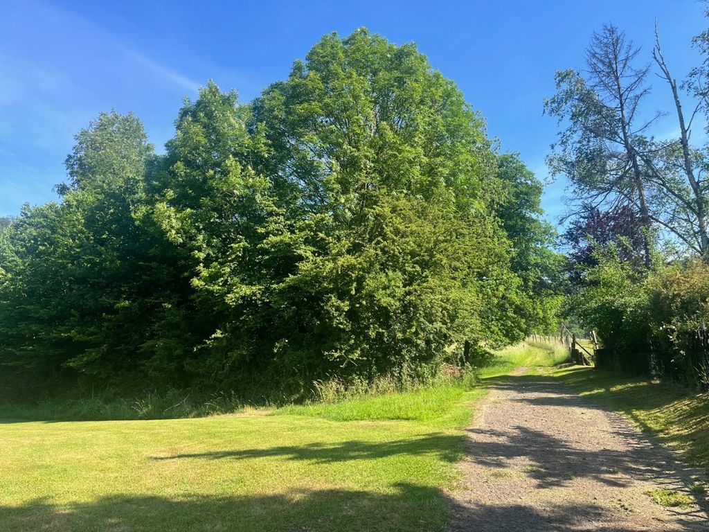 Small clearing - forest pitch on the edge of the Westerwald