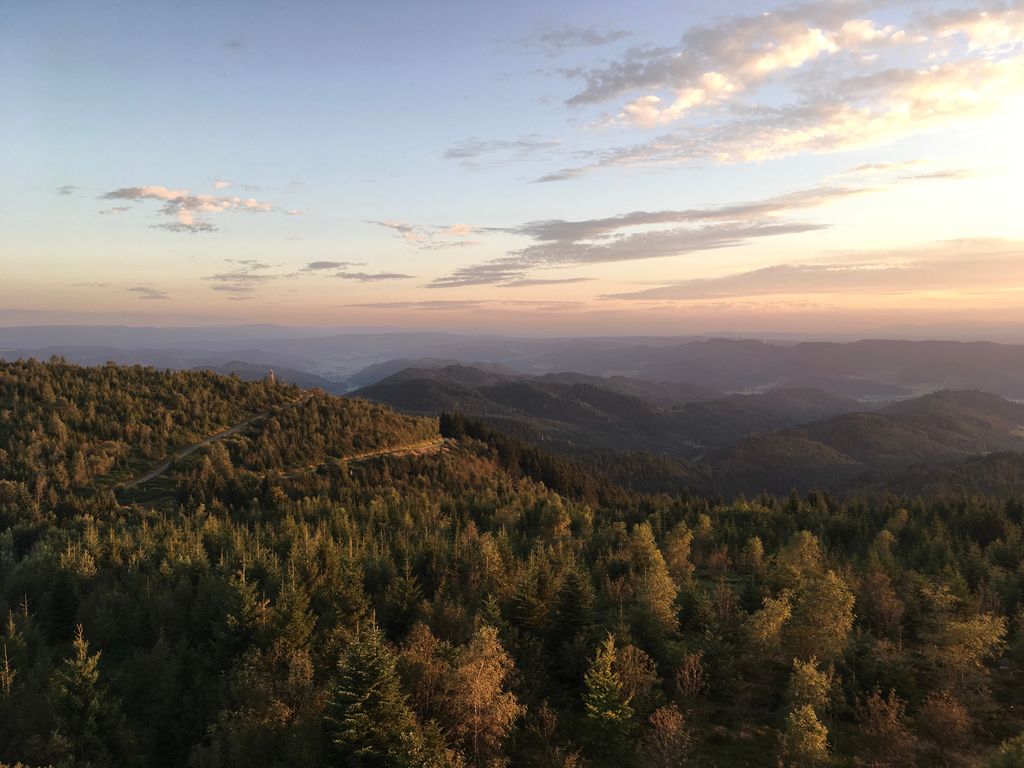 Bauernhoferlebnis, do sage Fuxs und Has gudnochd