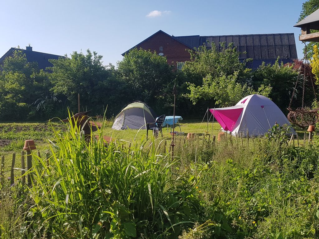 Übernachtung auf dem Bauernhof mit Kuhblick