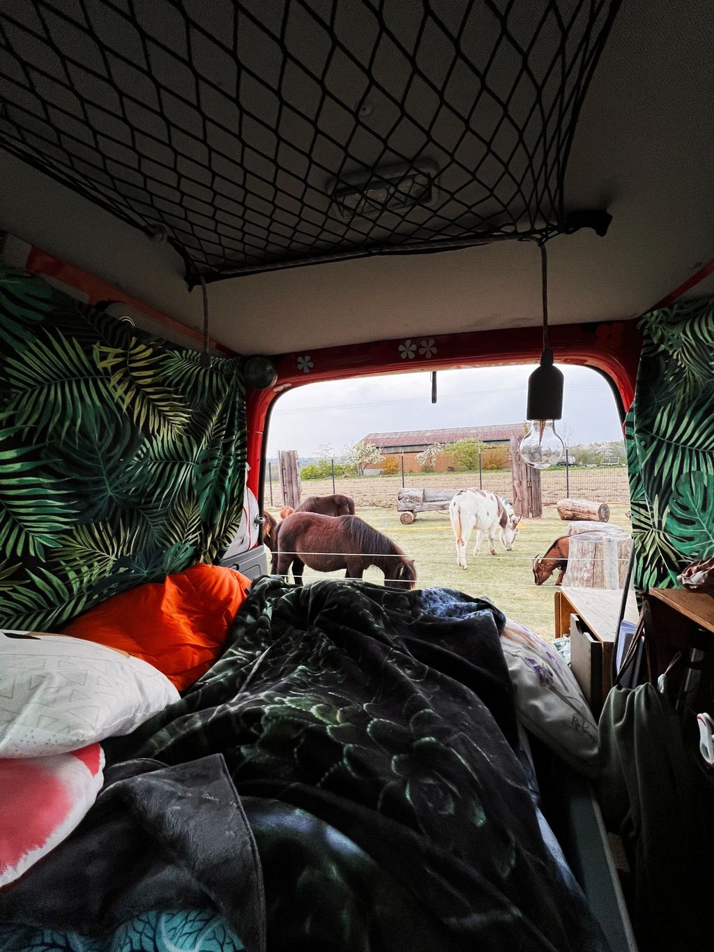 Camping at the donkey enclosure at Erlebnishof Odenwald