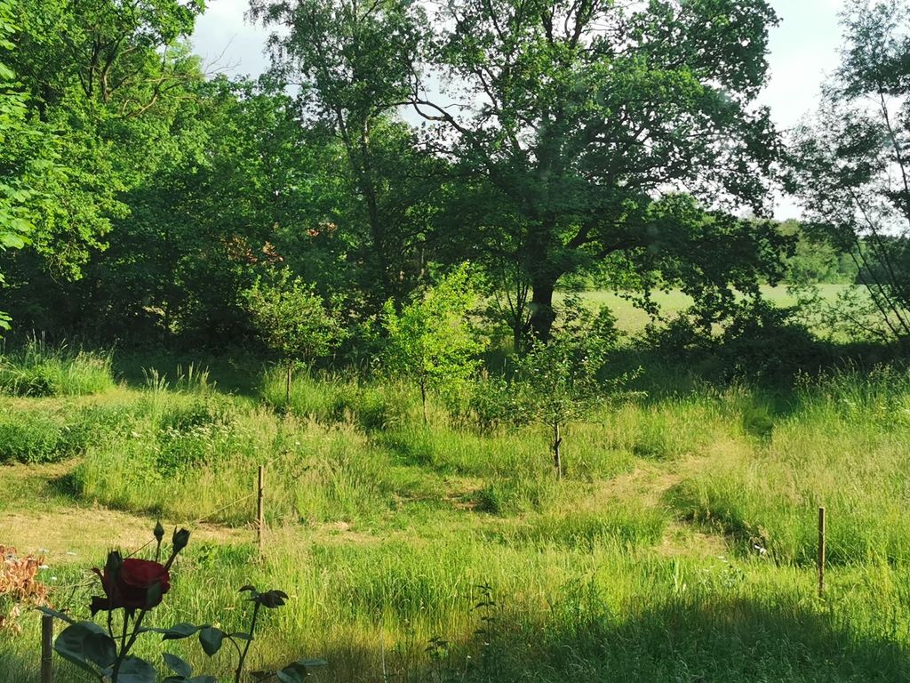 Geheimtipp - Alleinlage am Bach - Lüneburger Heide