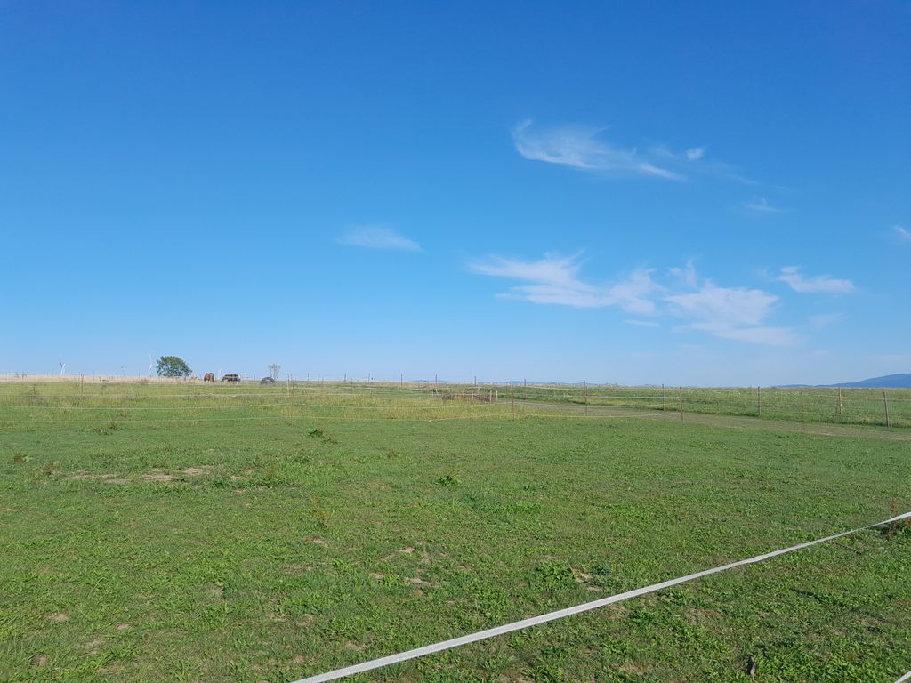 Camping an der Pferdekoppel mit Gebirgsblick