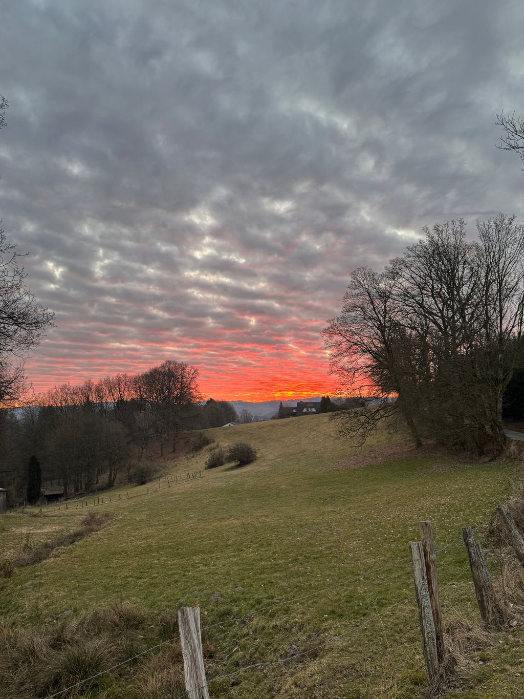 Blick in den Sonnenuntergang