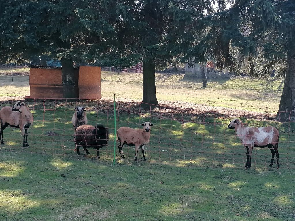 Ein 2000 Jahre alter Schlafplatz