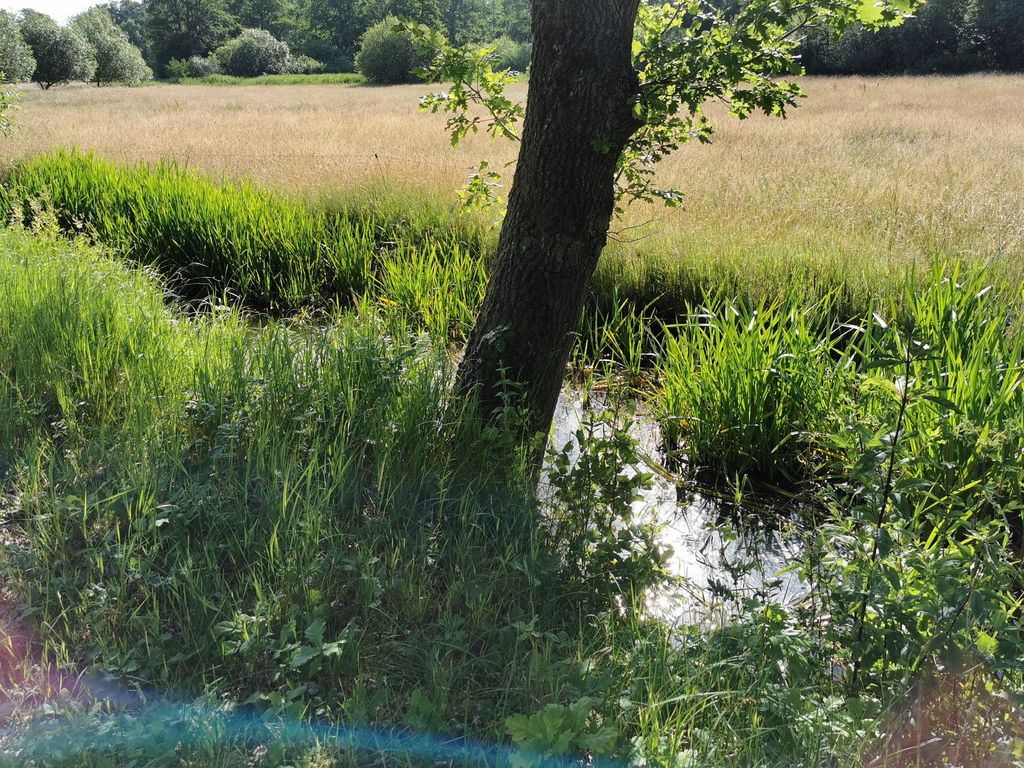 Geheimtipp - Alleinlage am Bach - Lüneburger Heide