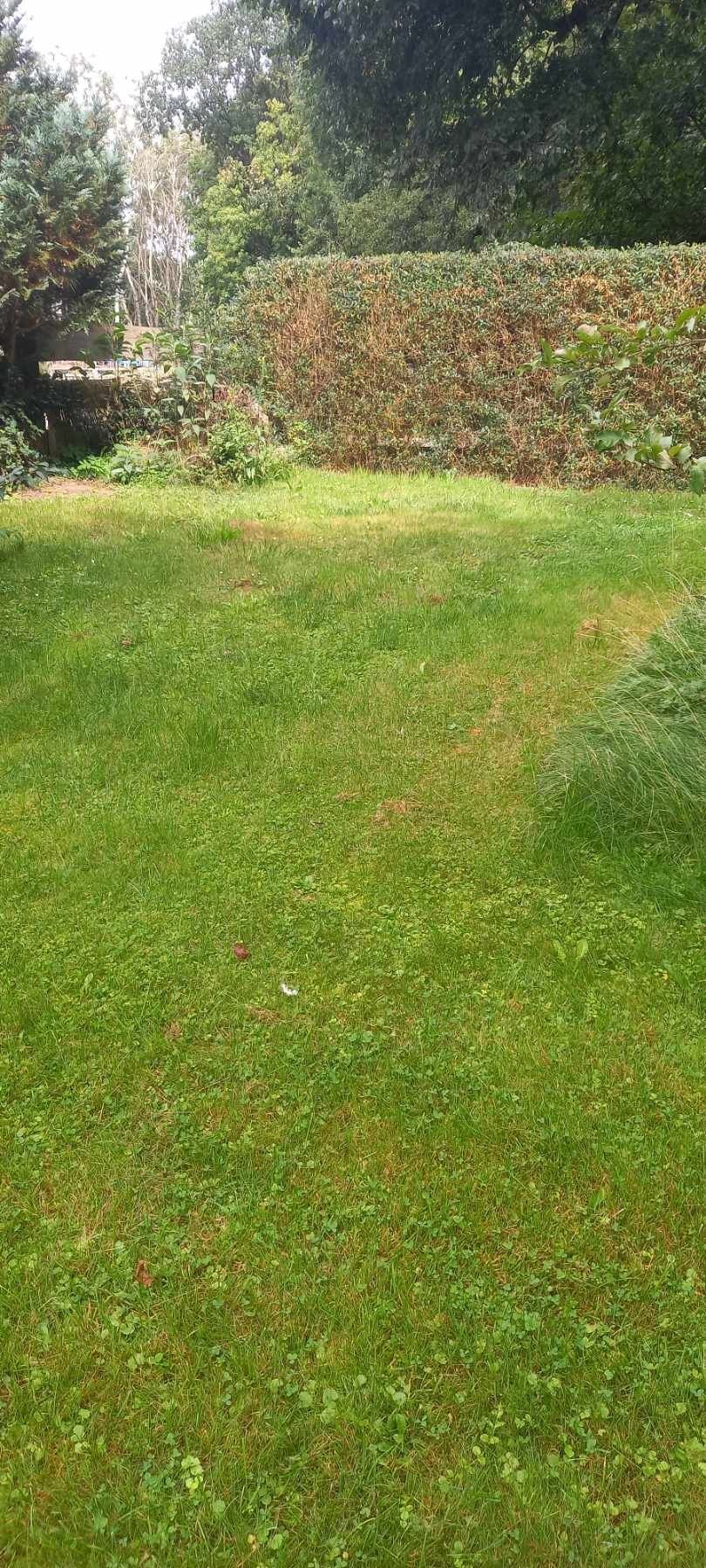 Gastlichkeit - Zelten im Garten , Wohnmobil davor.