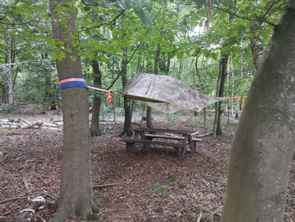 Im Baumzelt das Blätterdach bestaunen