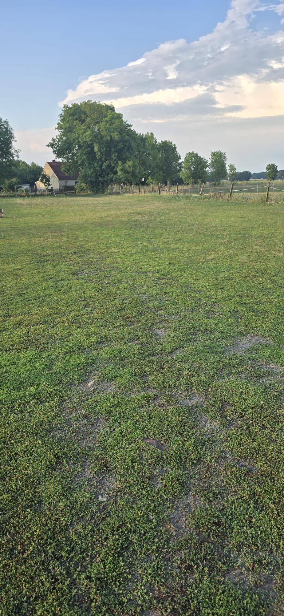 Idyllischer Wiesen-Stellplatz im Grünen 