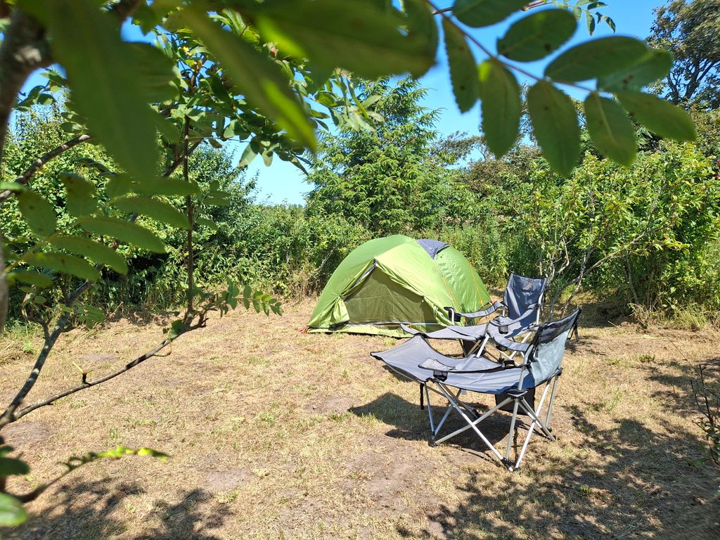 Dies ist Dein Zeltplatz (ca. 50 m²)