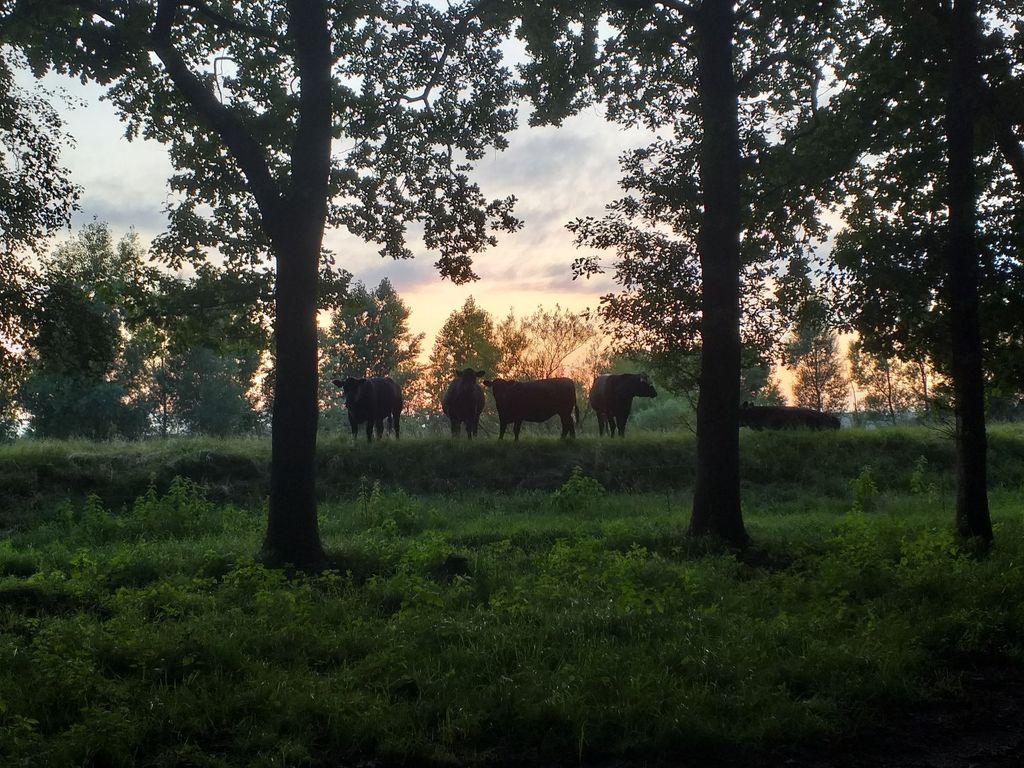 Stördeich Camping Kellinghusen