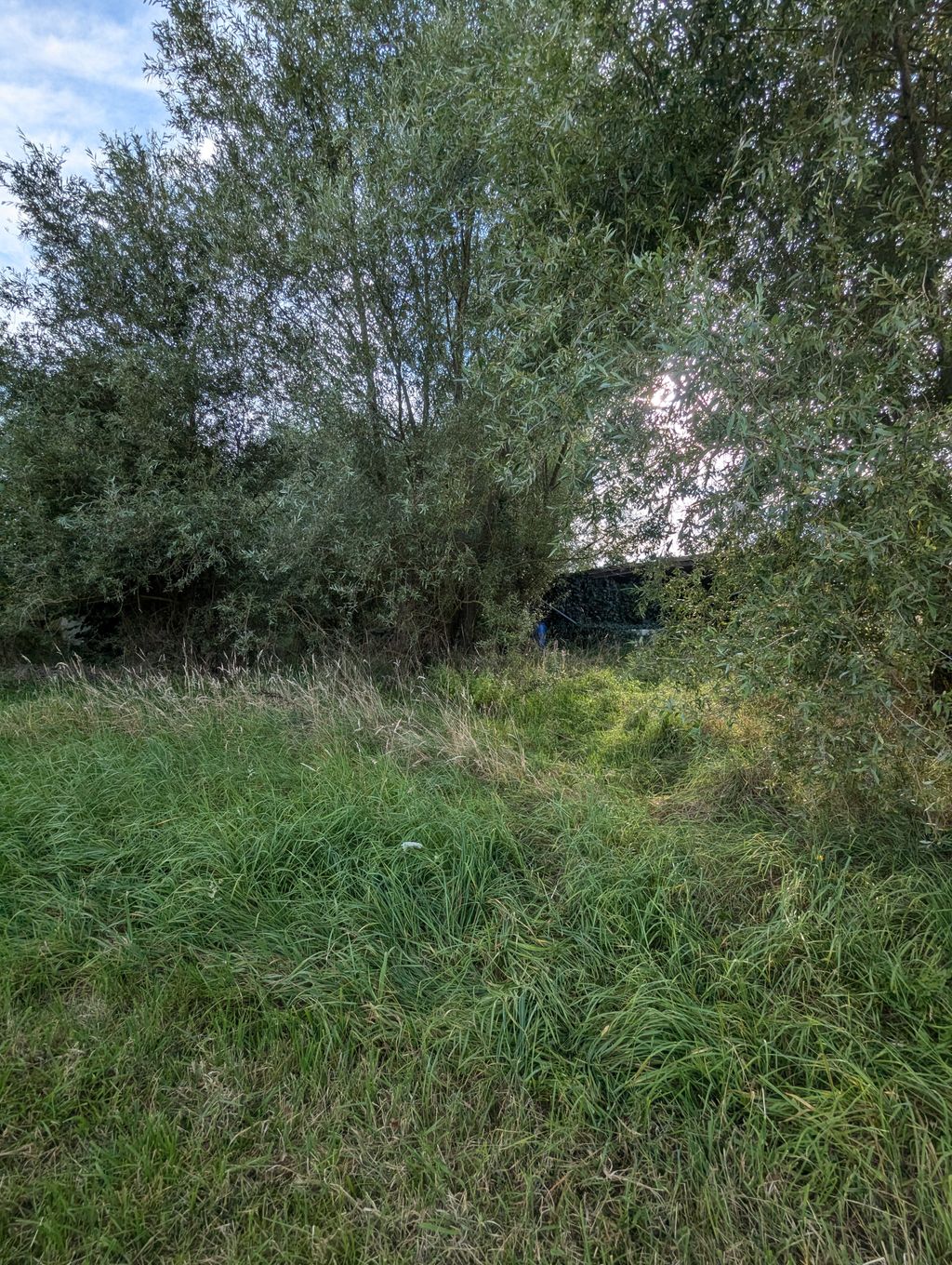 Un paesaggio idilliaco nei pressi di Bamberga, con un laghetto e meli