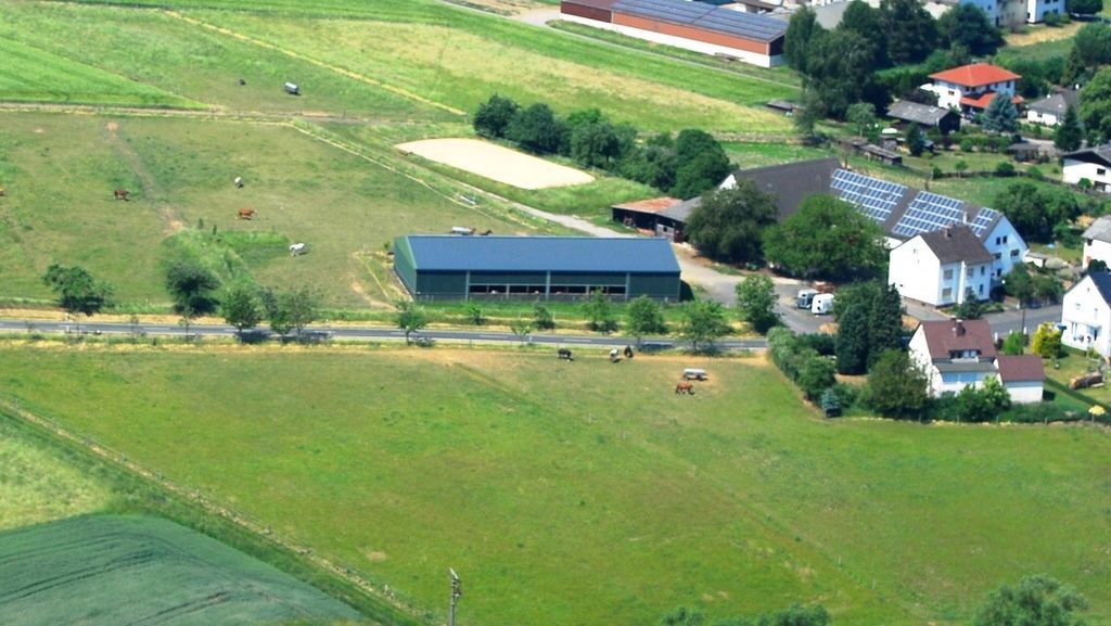 Andare in campeggio con il proprio cavallo