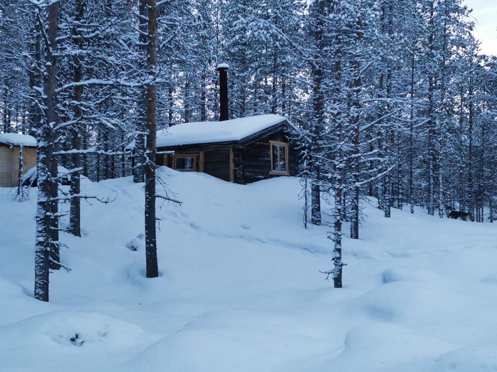 Blockhaus in absoluter Wildnis - "lonely lynx"