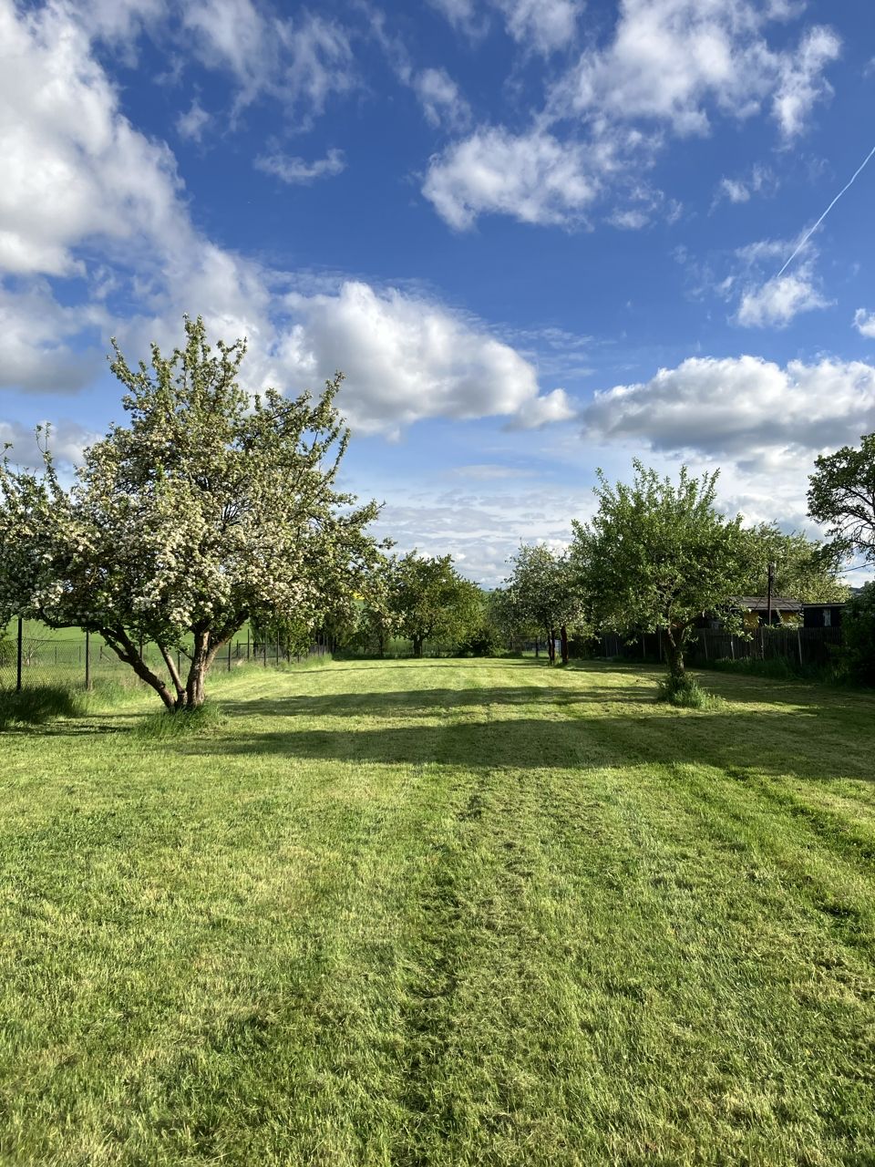 Nature with a view between the fruit trees