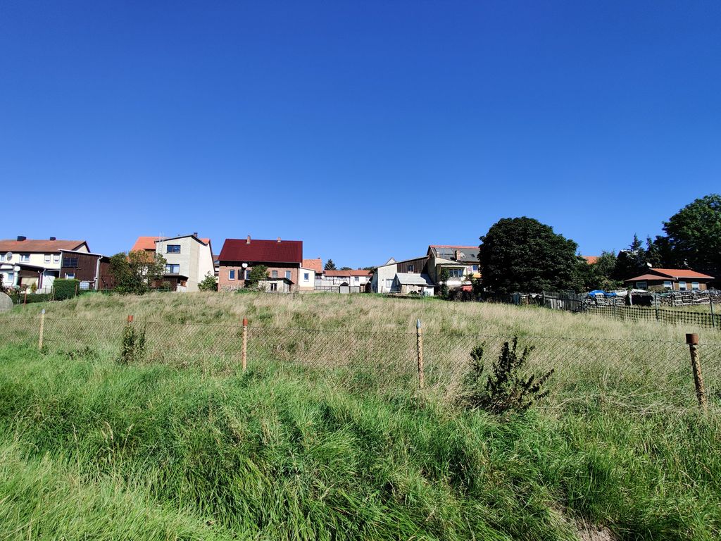 Postcard view on the meadow in the Harz Mountains