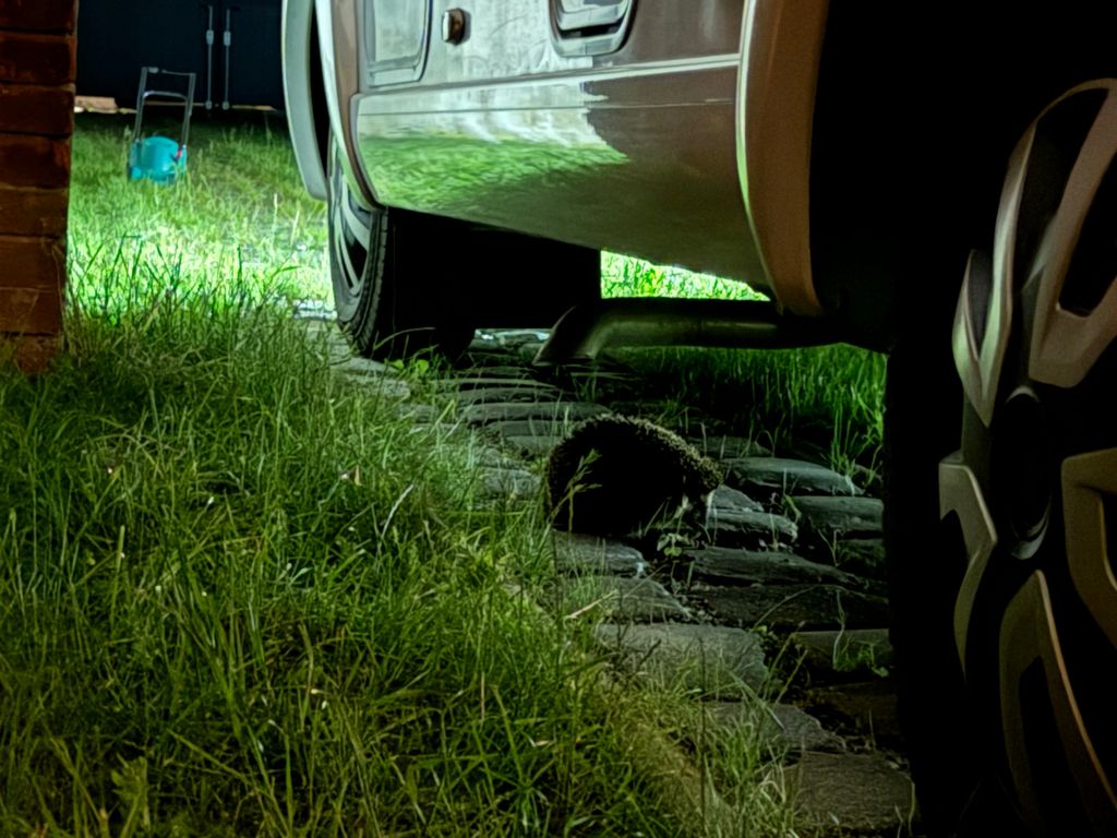 "Der Schnelle für die Nacht": Camp am Hof 