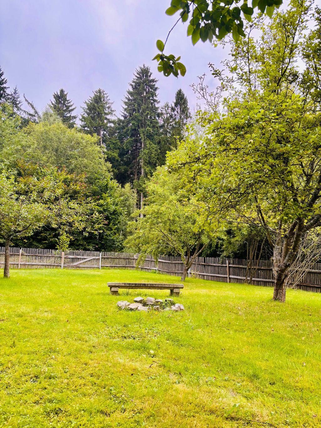 Pitch on the edge of the forest in a quiet residential area