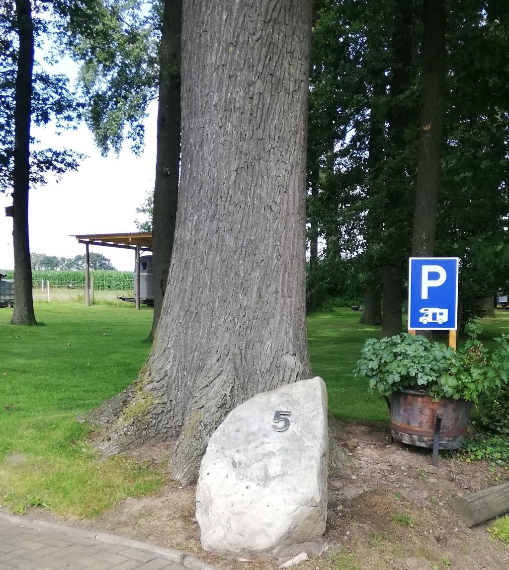 Camping in the western Münsterland (without bath)