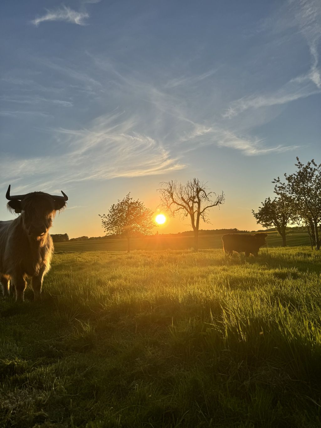 La région de la Ruhr rencontre l'idylle du Sauerland