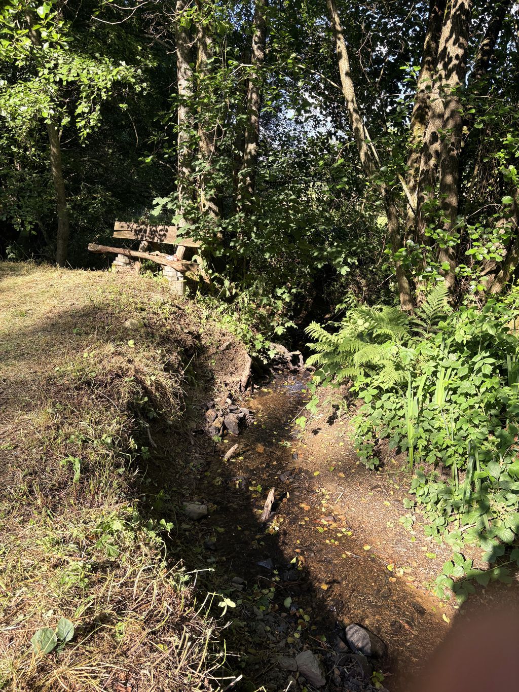 Euer privates Naturparadies am eigenen Weiher