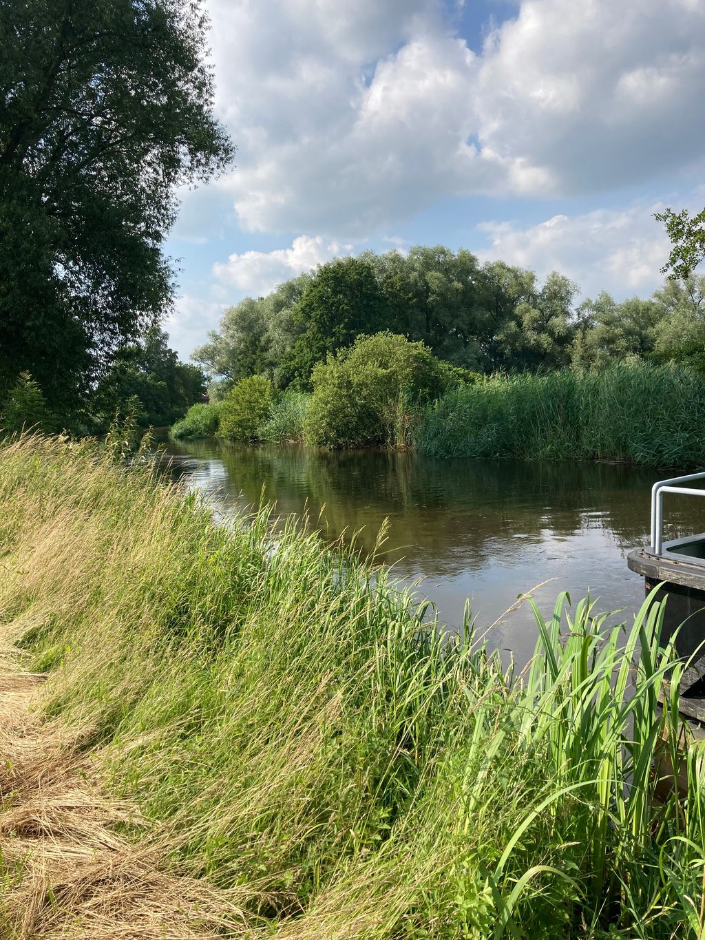 Camper aux portes de Lüneburg