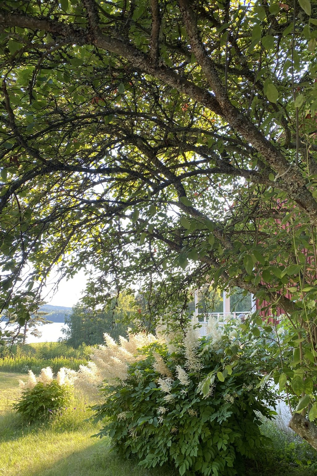 Selbstversorger-Apartment - Wandern & Fischen