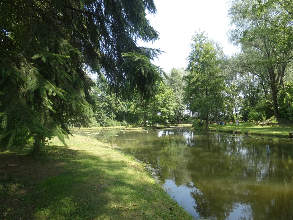 Übernachtung im Baumzelt mitten in der Natur
