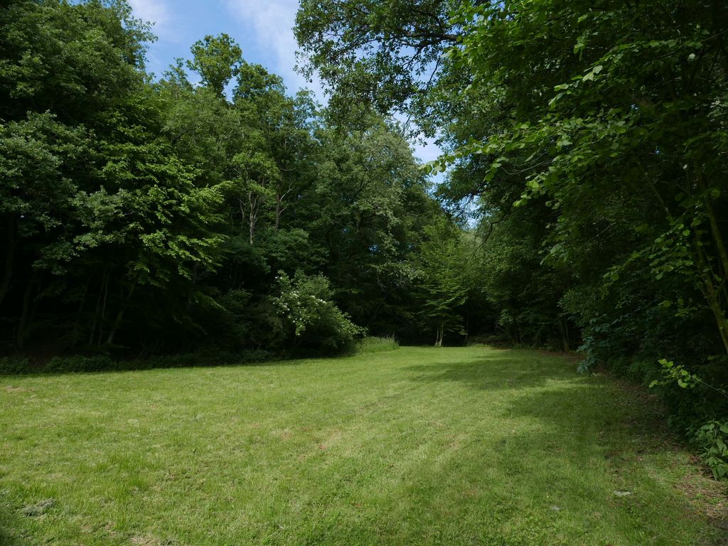 Meadow in the forest in the Siebenmühlental