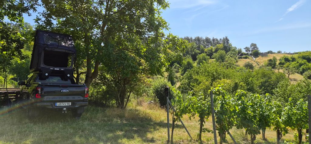 Wiesenstellplatz mit Panoramablick über die Reben
