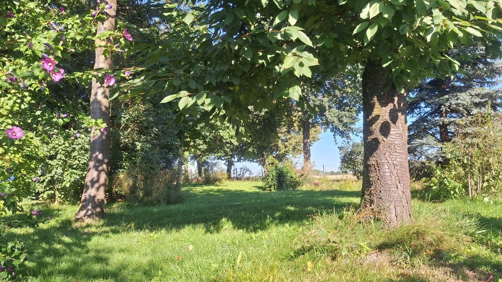 Cozy spot - near A24 & Schwerin