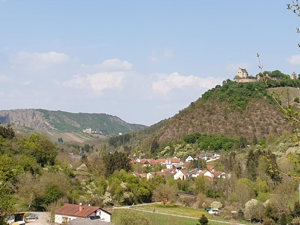 Erholung auf unserem Bio-Weingut