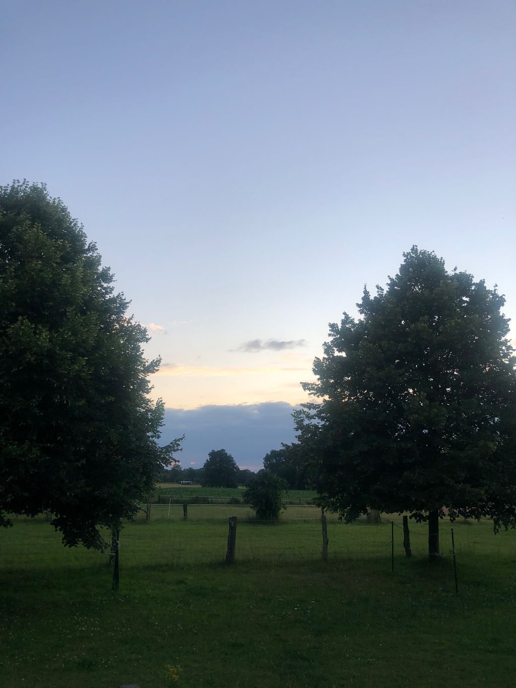 In the middle of the country under linden trees