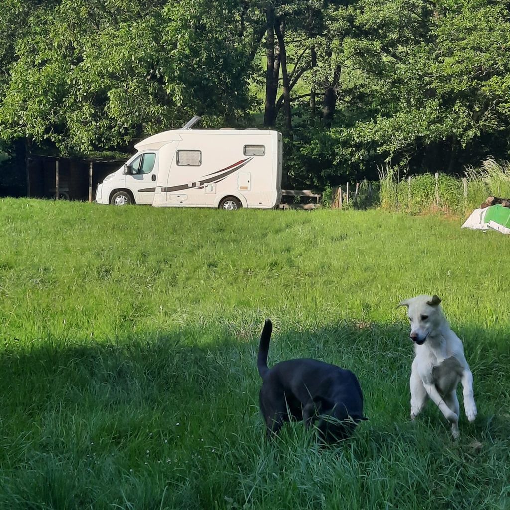 Vacances dans la plus belle vallée latérale de la Moyenne Moselle