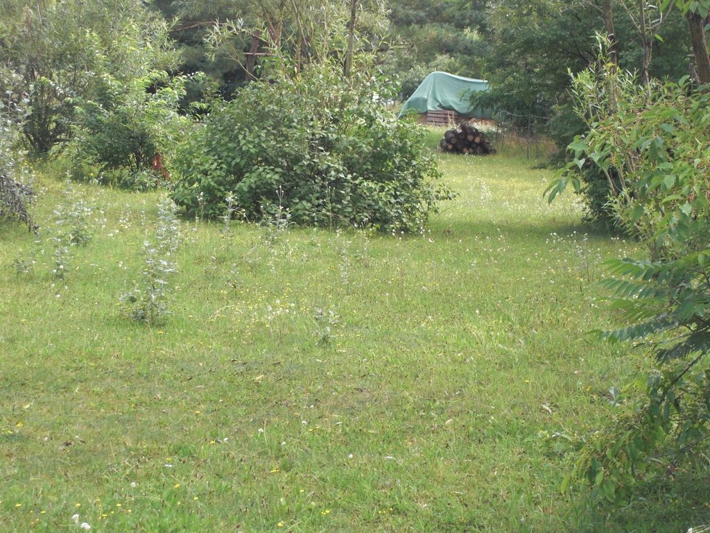 Einzelstellplatz im Mini-Dorf mitten im Wald