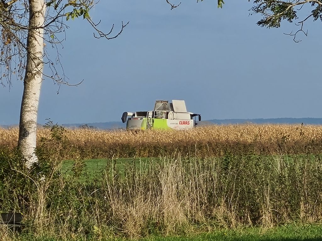 Emplacement à la ferme-Nature entre Elbe & Weser