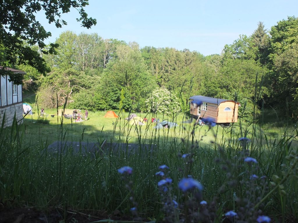 Beautiful meadow in Saxon Switzerland