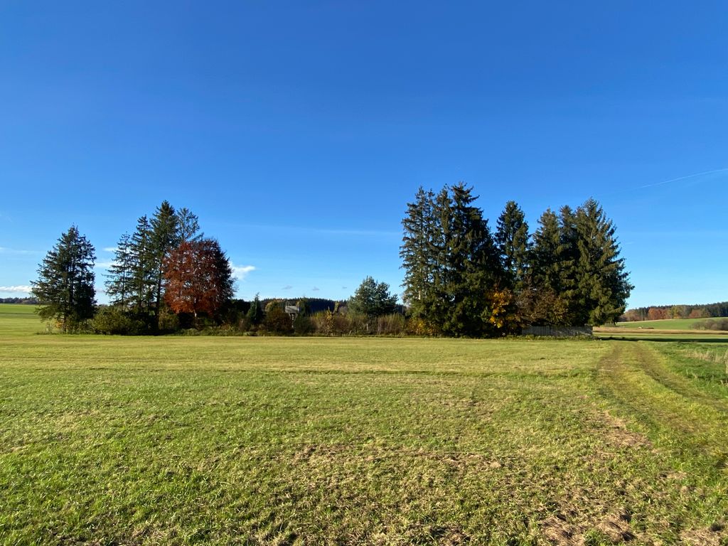 Alleinlage am Rand eines Niedermoores