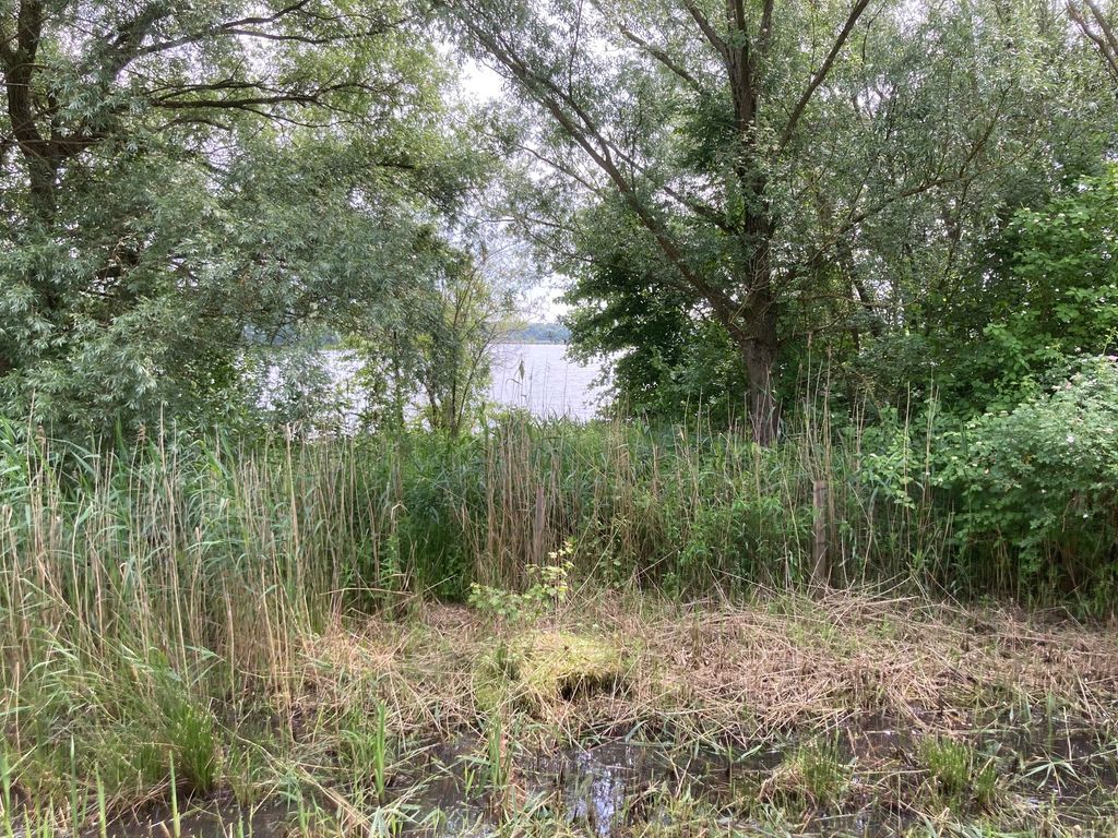 Naturerlebnis mitten in Hamburg