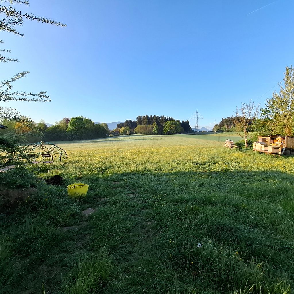 Una notte in campagna vicino al pollaio