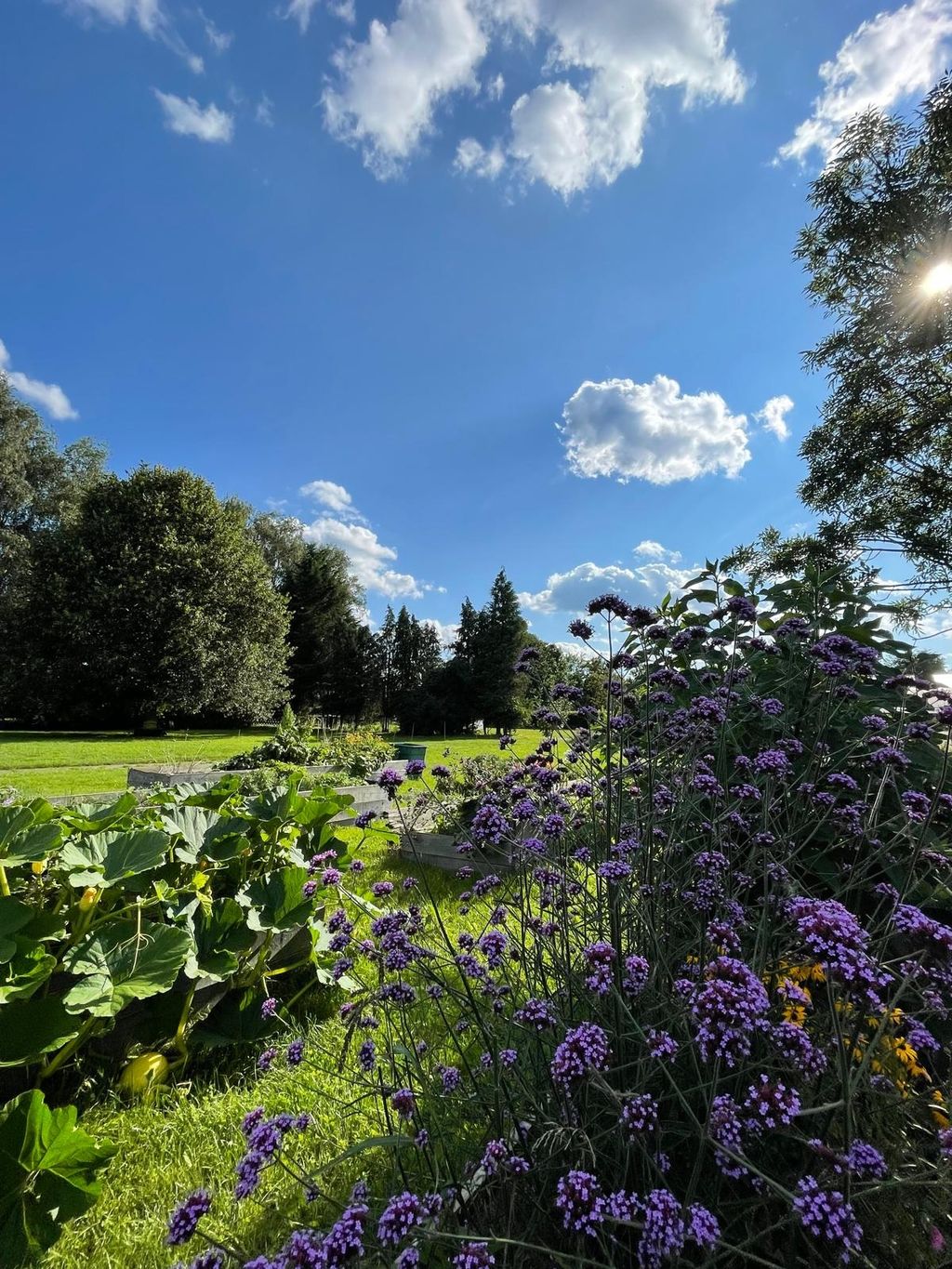 Quiet accommodation in the Elster Valley