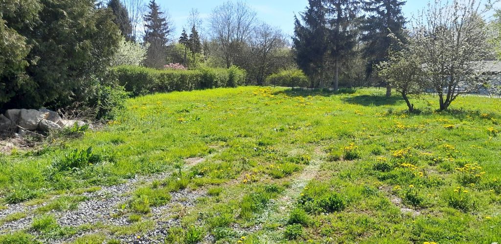 Stellplatz im grünen Herzen Thüringens