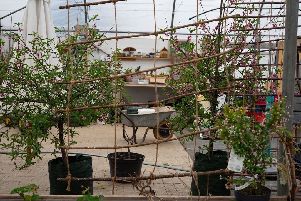 Quiet accommodation in the Elster Valley