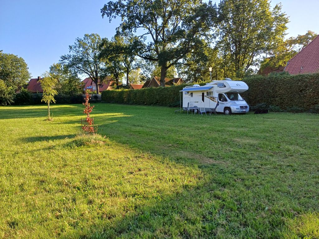 Green meadow in the forest or idyllic yard parking lot