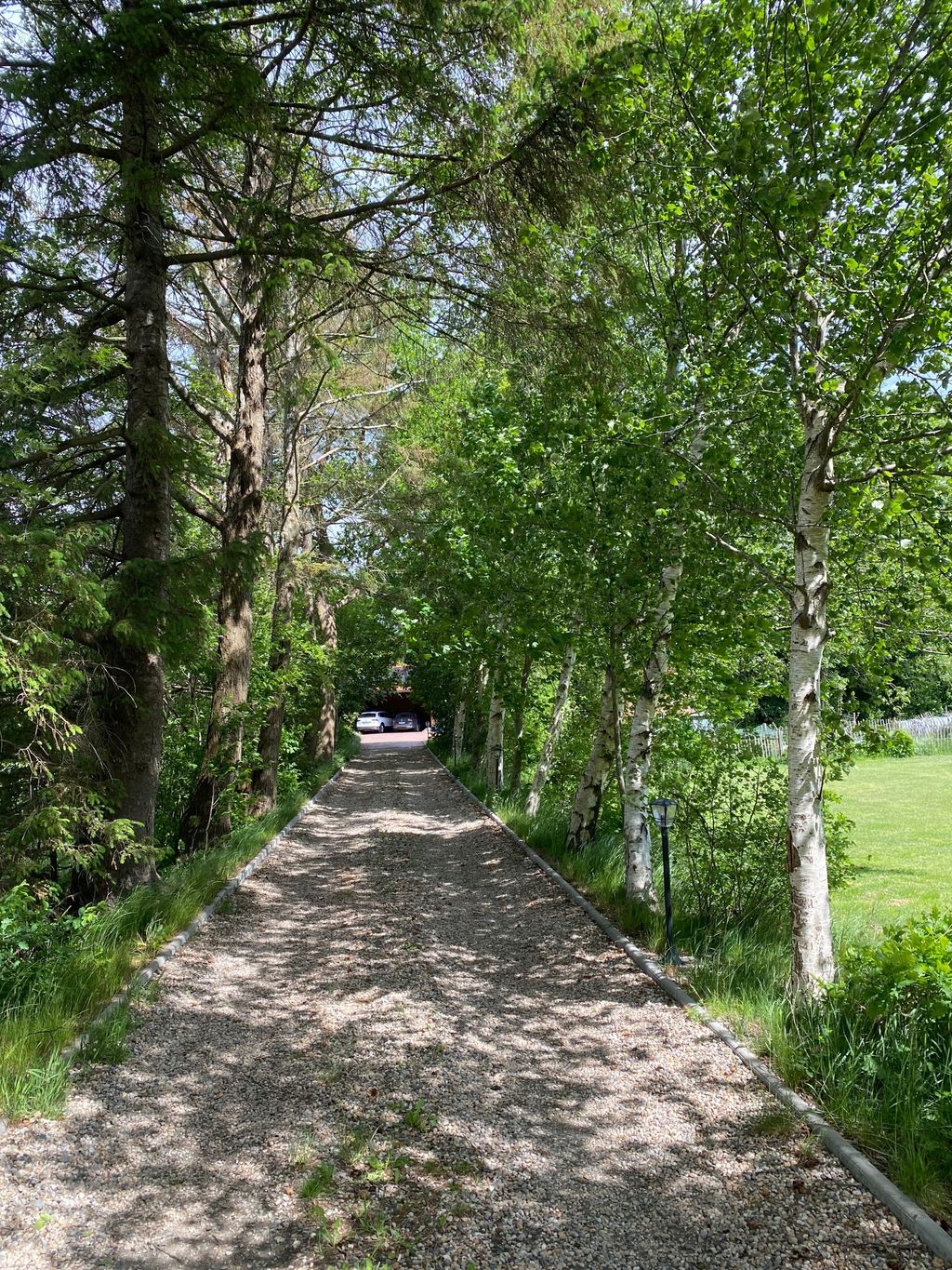 Acampar junto al bosque en Frisia Oriental