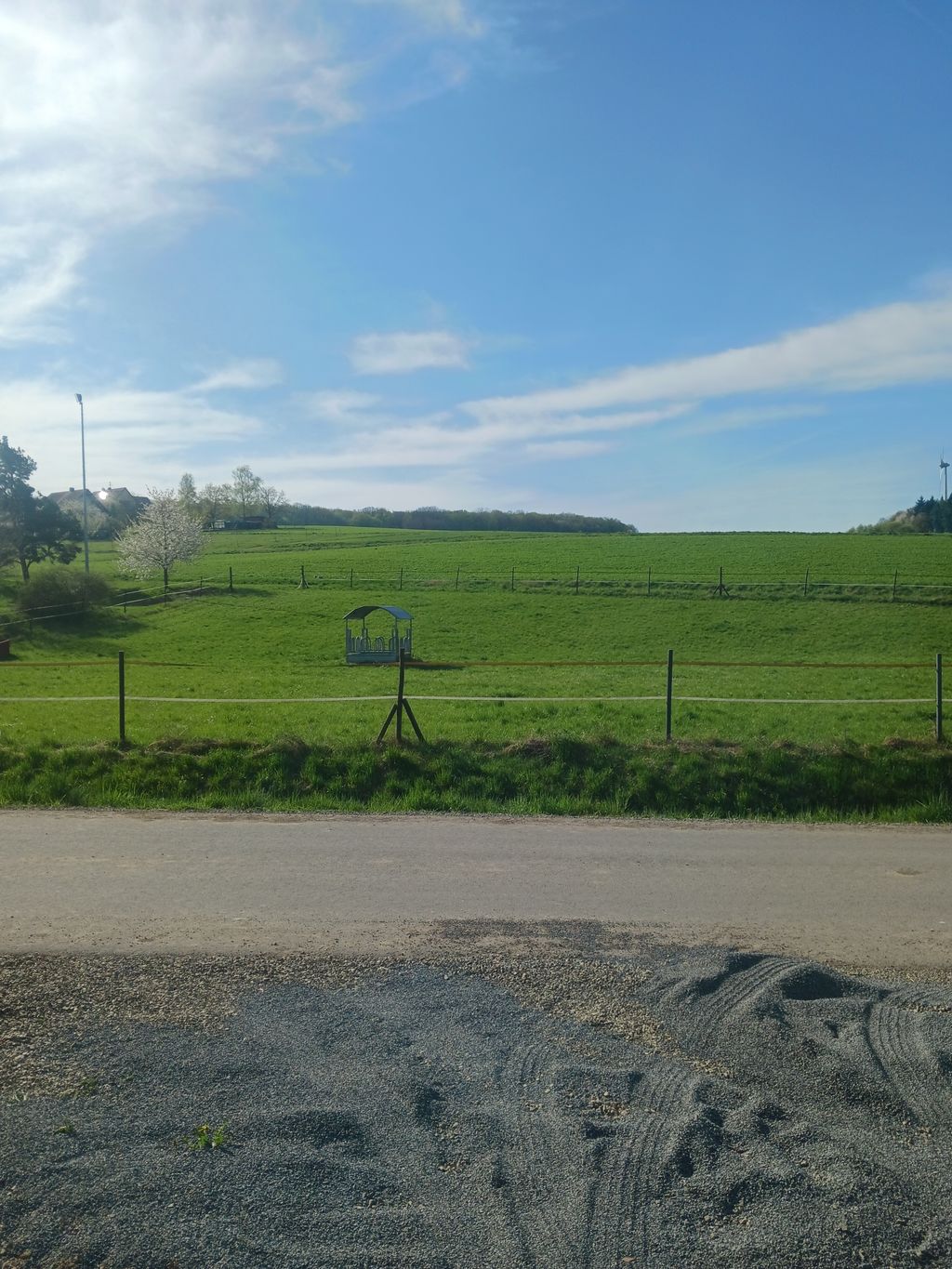 Stellplatz an einer Obstbaumwiese