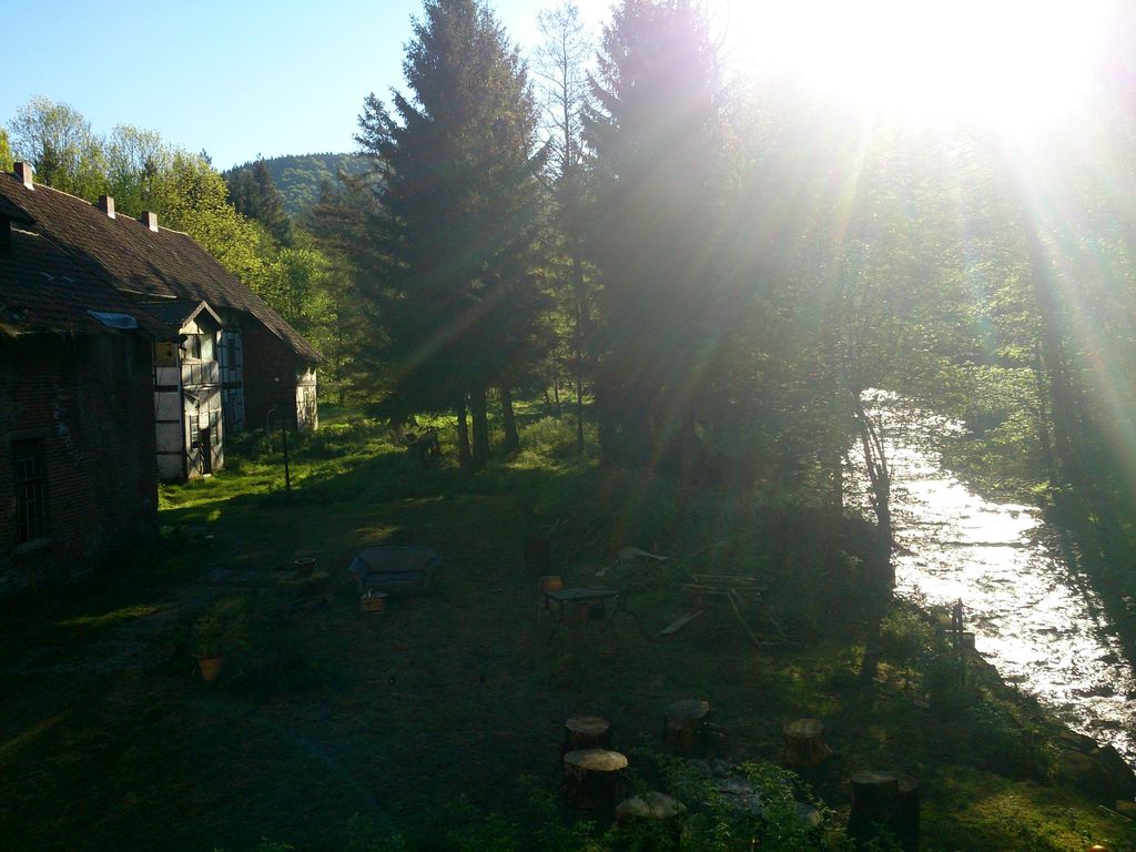 Paradies im Siebertal – Natur pur im Harz