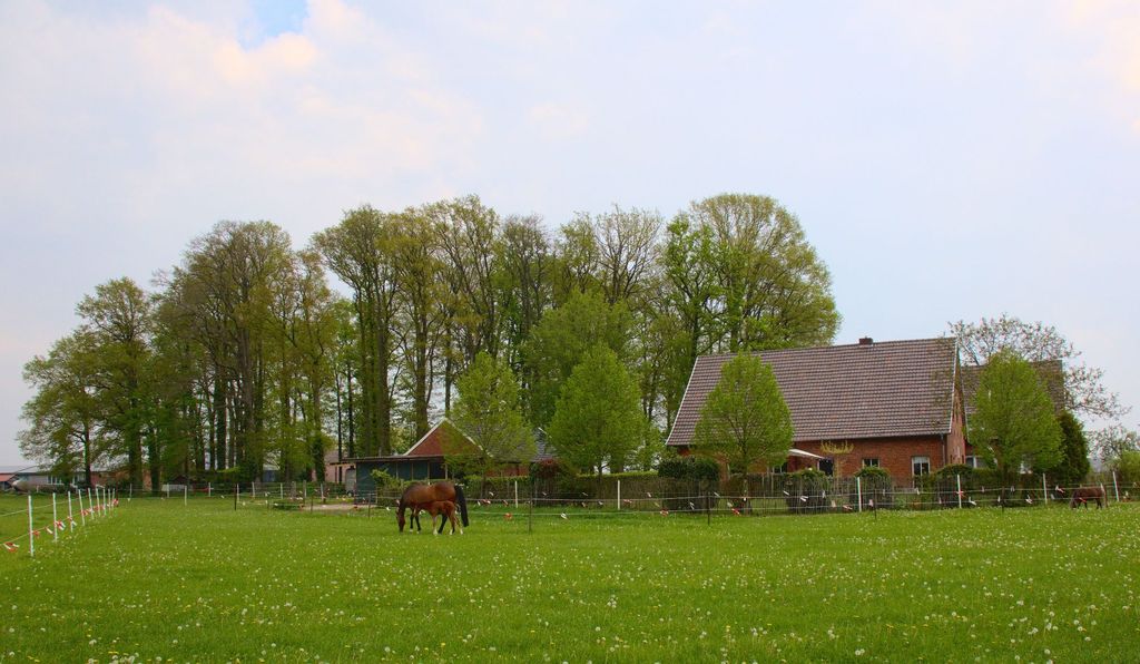 Camping in the western Münsterland (without bath)