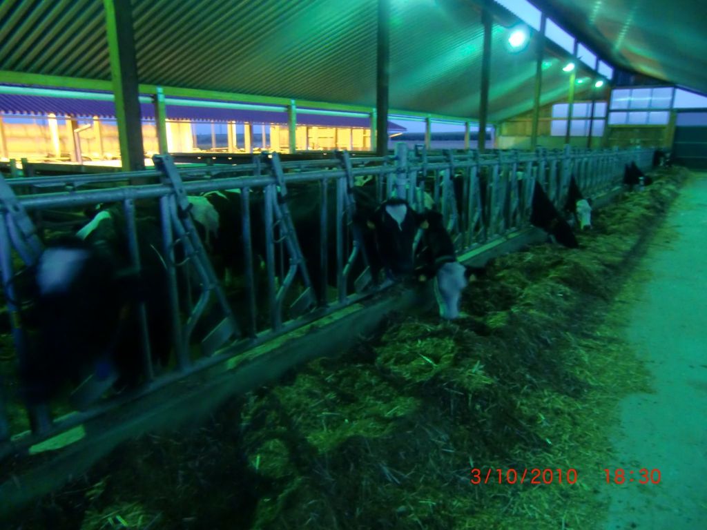   Weingut in Franken mit Weinstube und Terrasse